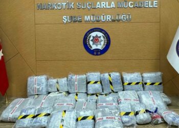 İzmir'de 80 kilo uyuşturucu ele geçirildi: 1 tutuklama