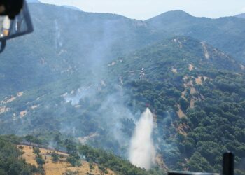 Kahramanmaraş’taki orman yangınları söndürüldü