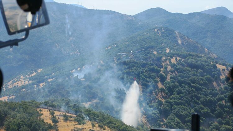 Kahramanmaraş’taki orman yangınları söndürüldü