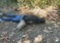 Kastamonu'da dere kenarında erkek cesedi bulundu: 1 gözaltı