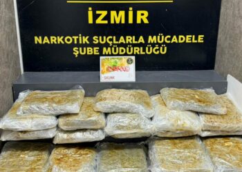 İzmir'de 29 kilo 800 gram skunk ele geçirildi