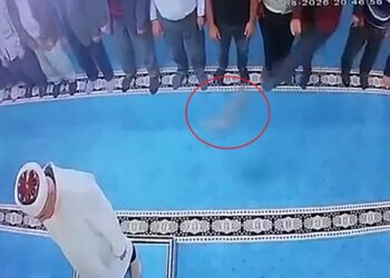 Camide kediye tekme atan kişi gözaltına alındı
