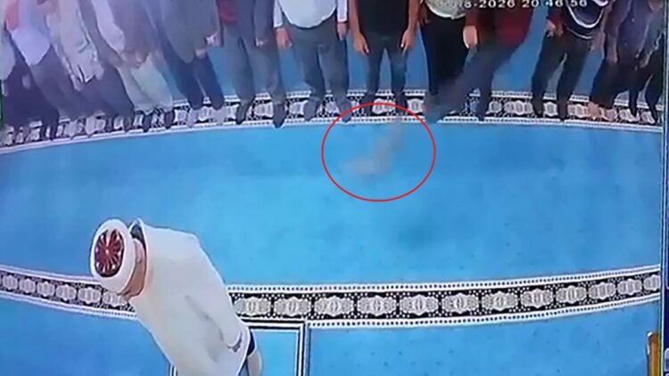 Camide kediye tekme atan kişi gözaltına alındı