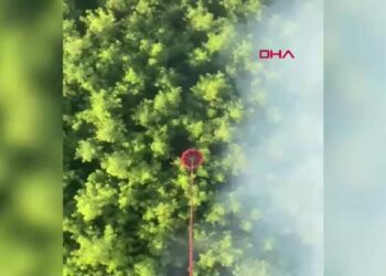 Antalya'da orman yangını