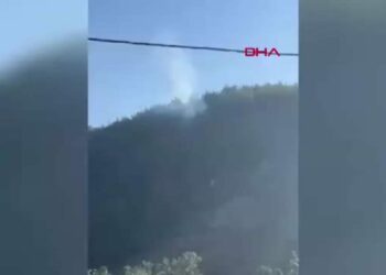 Hatay'da orman yangını