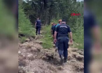 Dağda mahsur kalan oğlaklar kurtarıldı