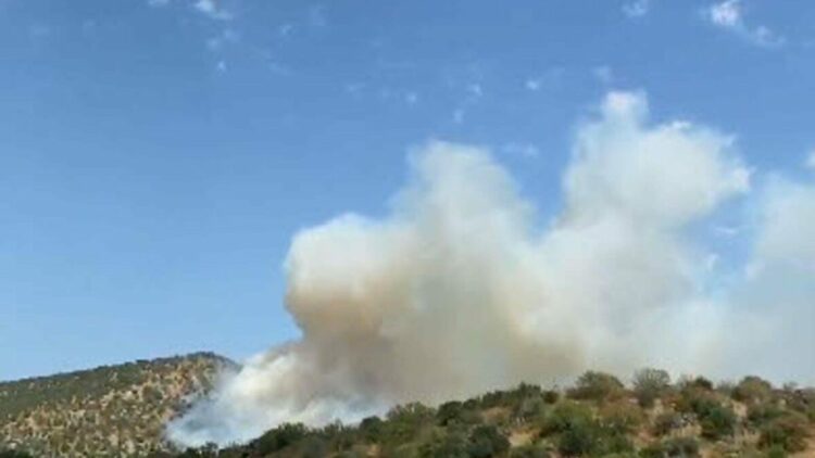 Balıkesir'de orman yangını