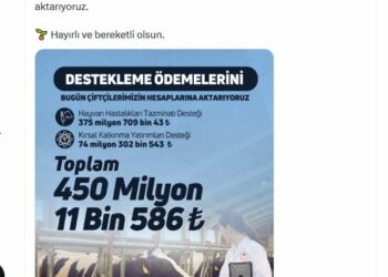 Üreticilere 450 milyon TL tarımsal destek