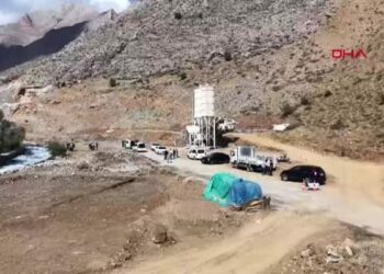 Van'da yıllık 300 milyon yavru balık üretiminin yapılacağı tesis kuruluyor