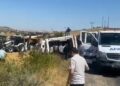 Kırşehir'de TIR devrildi: 4 büyükbaş hayvan öldü