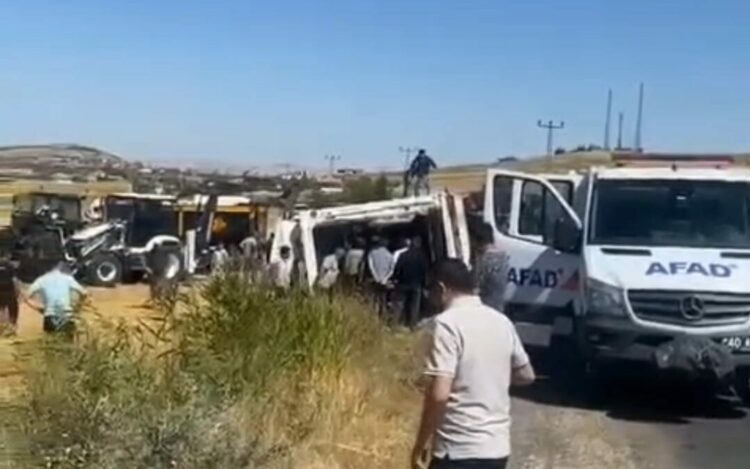 Kırşehir'de TIR devrildi: 4 büyükbaş hayvan öldü