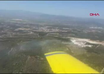 Manisa'da orman yangını