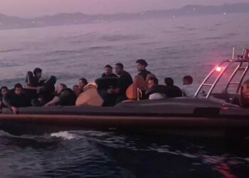 Milas'ta 23 kaçak göçmen yakalandı