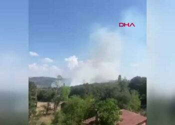Bursa’da orman yangını