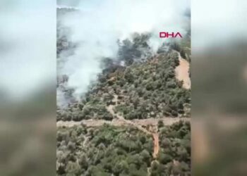 Manisa'daki orman yangını 2,5 saatte kontrol altına alındı
