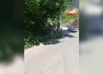 Sahilde park halindeki otomobil yandı