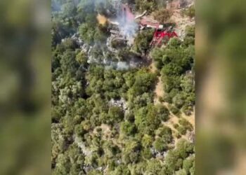 Antalya'da orman yangını