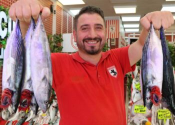 Karadeniz'de palamut bolluğu