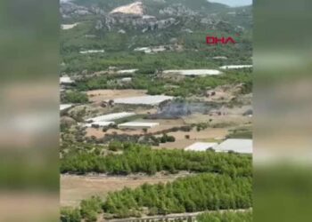 Serik’te zirai alanda çıkan yangın büyümeden söndürüldü