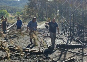 Yüksek gerilim hattında akıma kapılan kuş, orman yangınına neden oldu