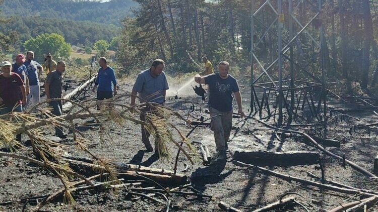 Yüksek gerilim hattında akıma kapılan kuş, orman yangınına neden oldu