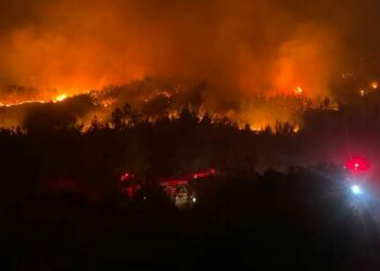 Antalya Serik'te orman yangını: 1 işçi dumandan etkilendi