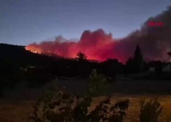Muğla'da orman yangını