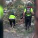 Polis ekipleri, devrilen ağacı kaldırarak yolu trafiğe açtı