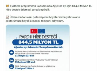 Bakan Yumaklı: Ağustosta 844,5 milyon TL hibe destek ödemesi yaptık