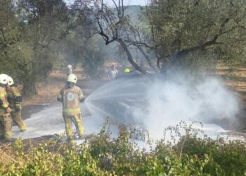 Zeytin ağacına çarpan otomobil yandı; 1 ölü, 1’i çocuk 5 yaralı