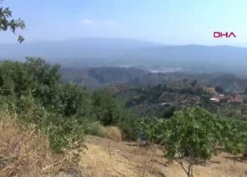 Nakilli kollarıyla traktör serbest, otomobil yasak; Ehliyetimi geri istiyorum