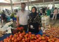 Çİftçi 30 aileden organik tarımla ekonomiye 7 milyon TL’lik katkı