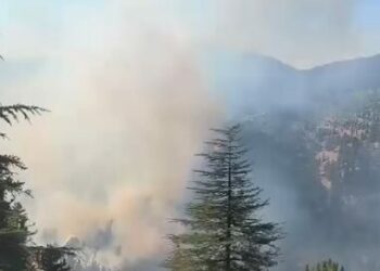 Adana'da 2 farklı bölgede orman yangını