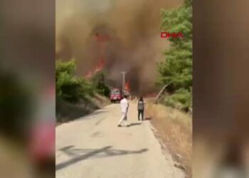 Karaisalı'da da orman yangını