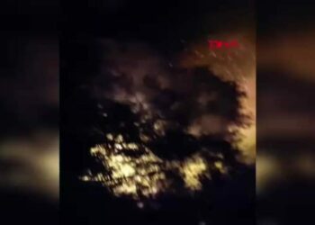 Osmaniye'de tarihi müze yakınında orman yangını