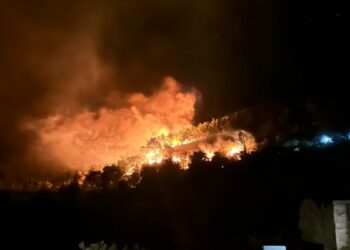 Kozan'da 2 ayrı noktada orman yangını; yerleşim yerleri tedbir amaçlı boşaltıldı
