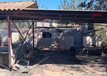 Antalya Serik'teki yangın kontrol altına alındı; 6 ev yandı
