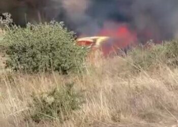 Park halindeki otomobilden çıkan yangın otluk alana sıçradı
