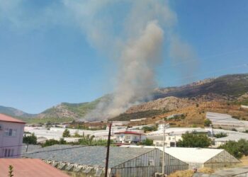 Mersin’de orman yangını