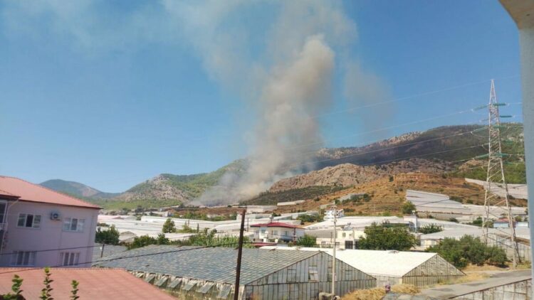 Mersin’de orman yangını