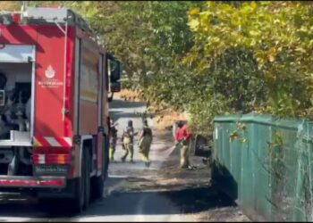 Beylikdüzü'nde otluk alanda çıkan yangın minibüse sıçradı