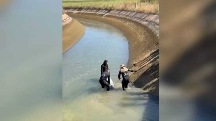 Sulama kanalında kaybolan 14 yaşındaki Yusuf’un cansız bedeni bulundu