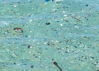 Plastik üretimi 24 yılda yüzde 84 arttı: 2060'a kadar üç katına çıkabilir