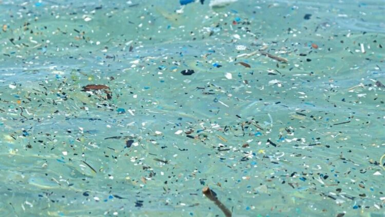 Plastik üretimi 24 yılda yüzde 84 arttı: 2060'a kadar üç katına çıkabilir