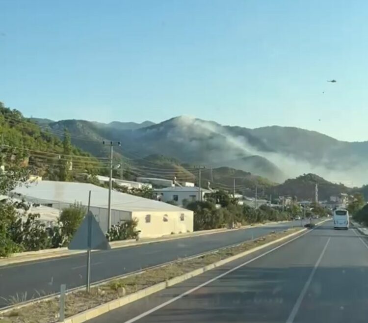 Mersin'deki orman yangını büyük oranda kontrol altına alındı
