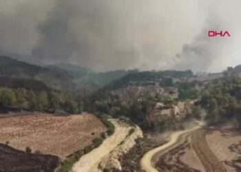 Kozan'da başlayıp, 2 ilçeye daha sıçrayan orman yangını 2’nci gününde (2)/ Dron görüntüleriyle