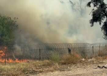 Tarım arazisinde çıkan yangın, otoyolun diğer tarafına sıçradı