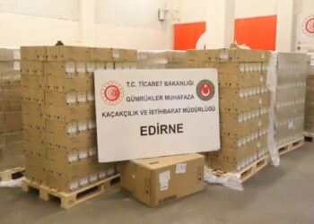 Edirne Kapıkule Gümrük Kapısı'nda 79 bin 790 serum ve infüzyon seti ele geçirildi