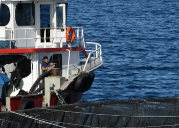 COP31 öncesi öğrencilerden Karadeniz’e yakın mercek