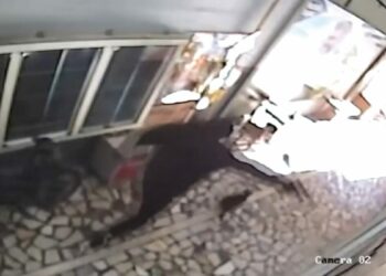 Küçükçekmece’de iş yerine silahlı saldırı düzenleyen şüphelinin yakalandığı anlar kamerada